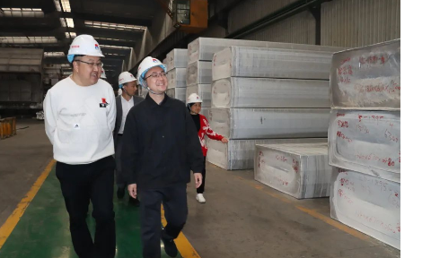 平果市政府考察團蒞臨明泰鋁業考察交流