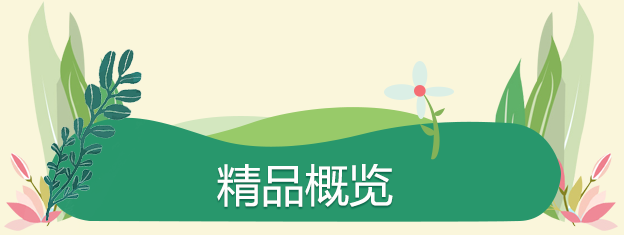 精品概覽